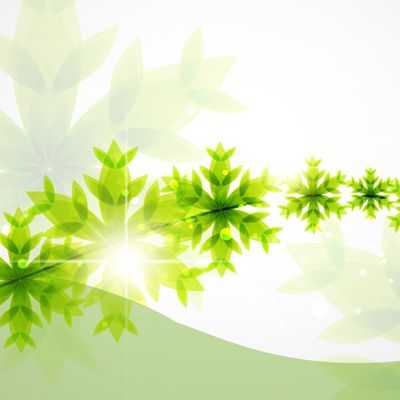 孕育新希望！广州集体婚礼的 “幸福延续记”